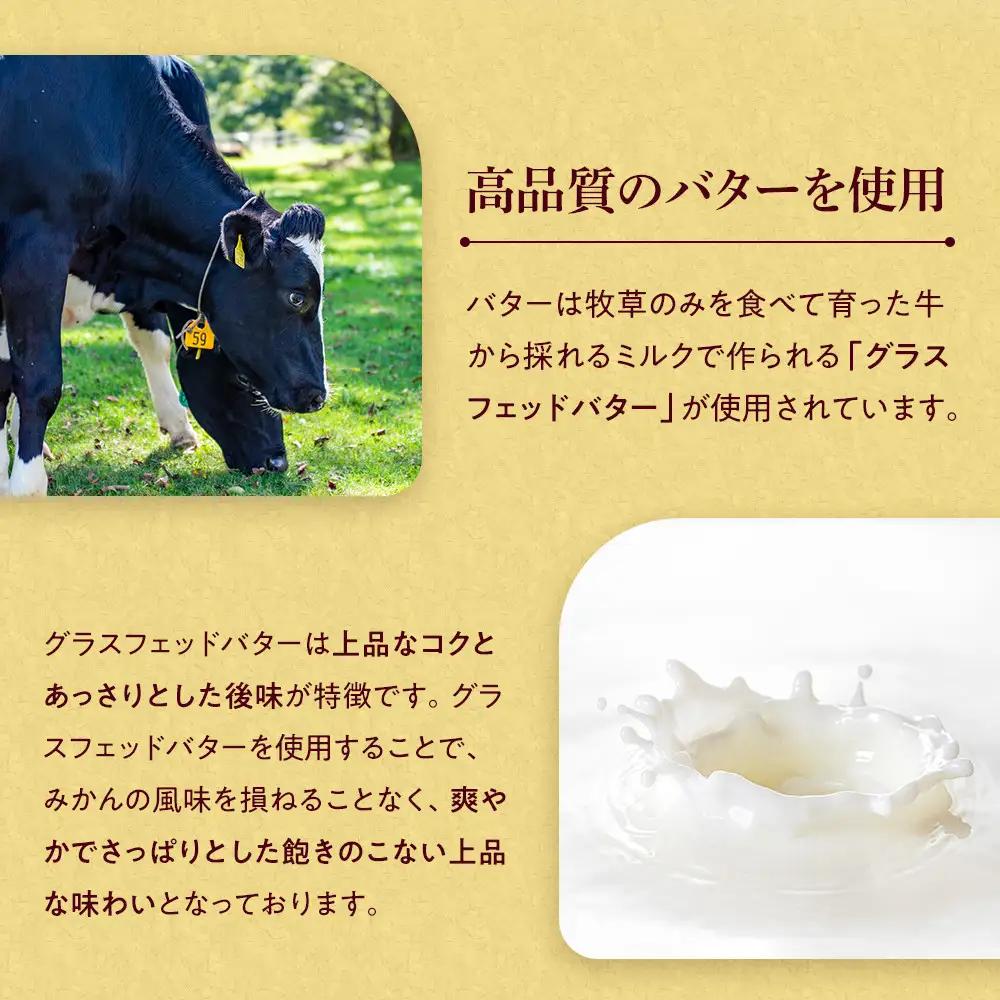みかんバター 1本入 みかん果汁 食パン