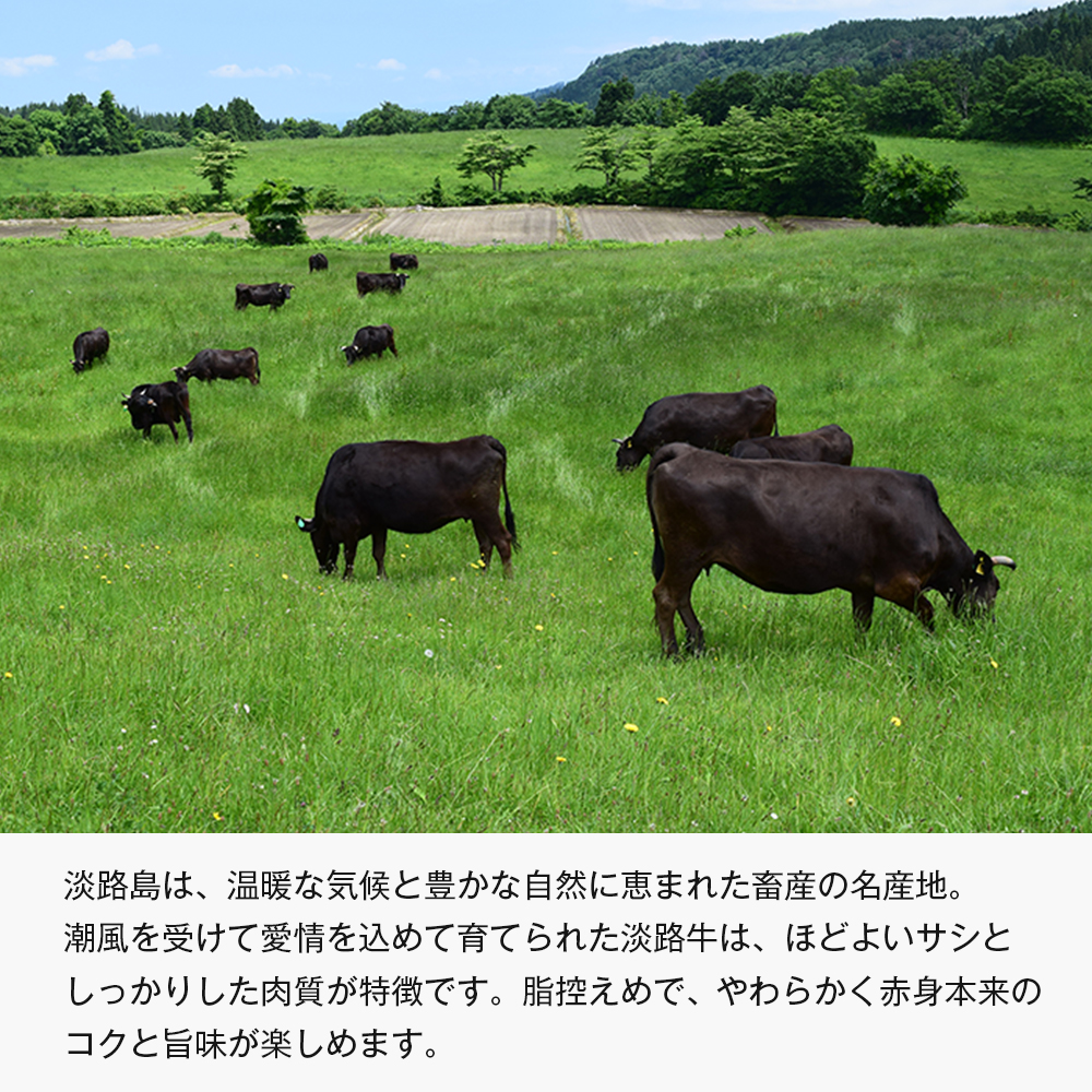 【定期便6ヶ月】淡路牛 赤身三種食べ比べ（すき焼き・ステーキ・焼肉） 定期便