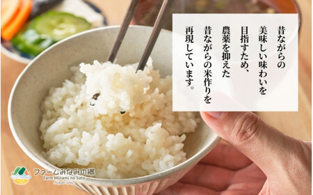 【令和6年産新米】〈6回定期便〉新之助 精米 10kg（5kg×2袋）［2024年10月上旬以降順次発送］ 有限会社ファームみなみの郷