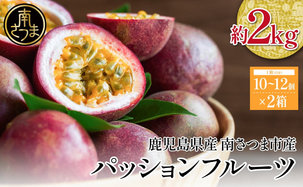 
            【鹿児島県産】パッションフルーツ 約2kg（10～12個程度×2箱） フルーツ 果物 旬  南国 鹿児島 南さつま市 清直kajuen
          