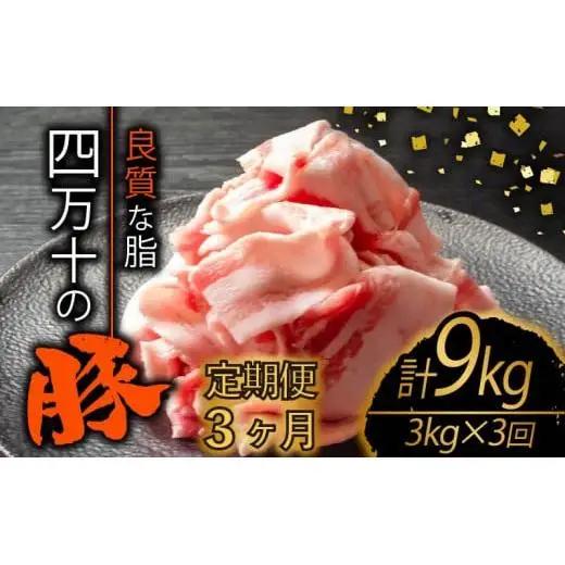 【 豚肉 】 豚肉定期便3ヶ月9kg