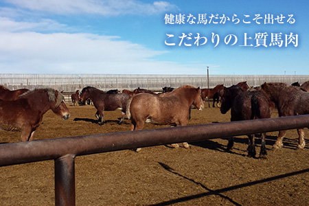 馬刺しの皿盛り(スライス)640g【熊本肥育】 赤身400g/フタエゴ120g/コーネ120g(タレ5ml×6袋) 《30日以内に出荷予定(土日祝除く)》
