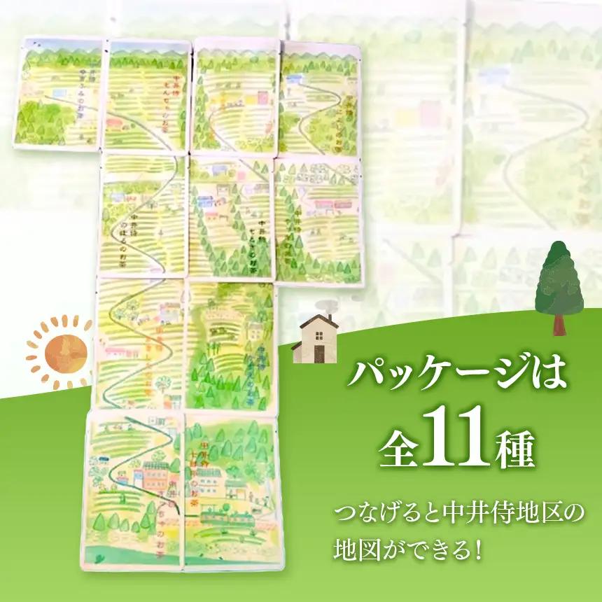 【先行予約】2026年6月頃より順次発送 長野県天龍村・中井侍地区のお茶11袋