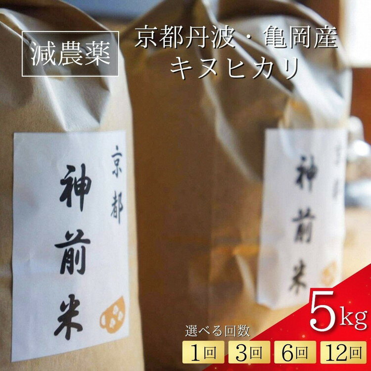 【ふるさと納税】【令和7年産】新米 先行予約 5kg 京都・神前米 キヌヒカリ 5kg 1回 3回 6回 12回 定期便☆精米したてをお届け ※2025年9月下旬以降順次発送 ≪減農薬 自家栽培米 生産農家 直送 白米 米 精米 クリーン白米≫