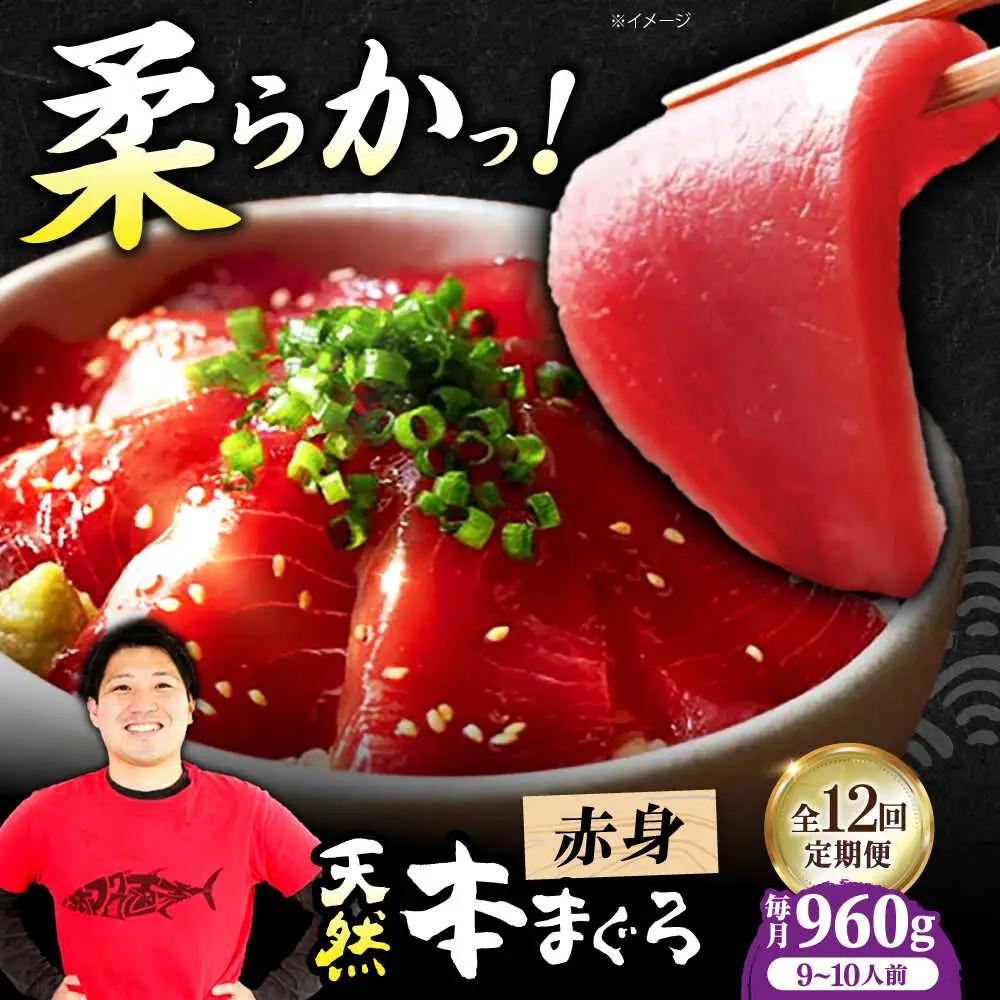 【全12回定期便】たね熟天然本まぐろ赤身(960g)[AOCE021]マグロ