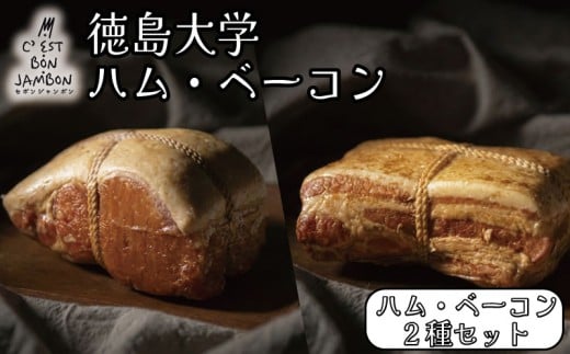 【4月・8月・12月に発送】 徳島大学 ハム ベーコン 計900g 熟成 ロースハム ベーコン 豚肉 豚 ぶた ブタ 加工品 お中元 お歳暮 年末 徳島大学 徳島県