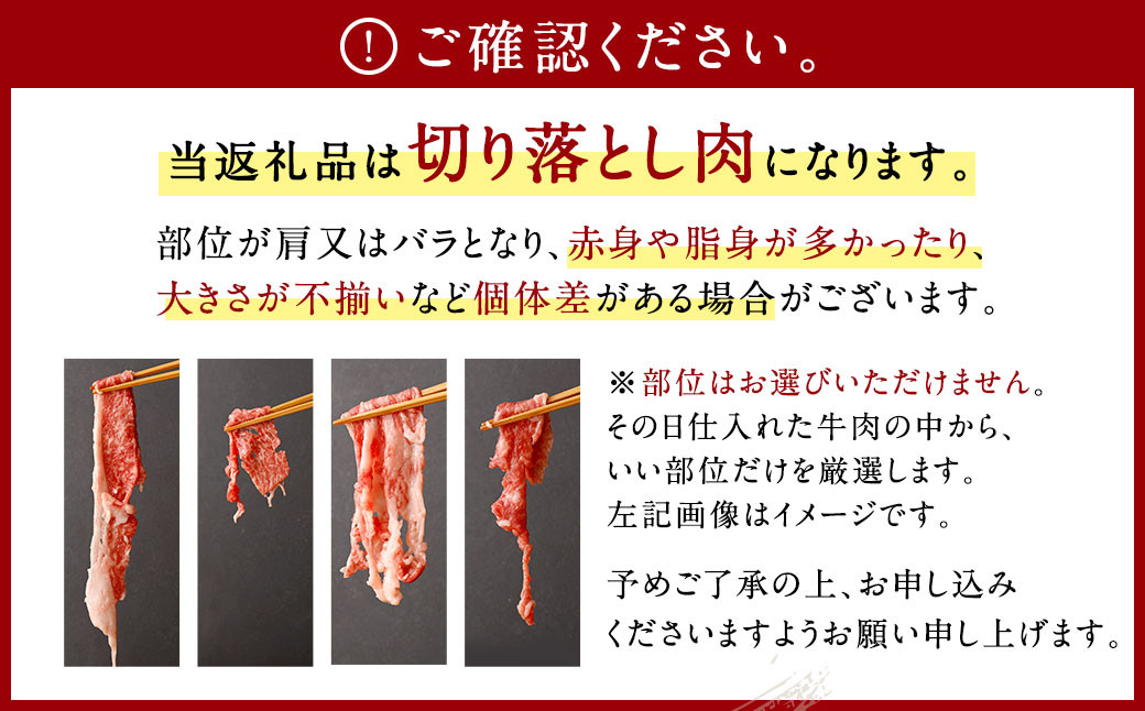 訳あり 佐賀牛 切り落とし 600g