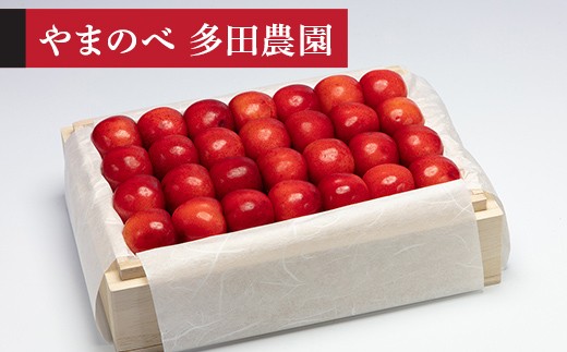 【令和8年産】 やまがた紅王 特選 桐箱詰 500g やまのべ多田耕太郎のさくらんぼ F2Y-4571