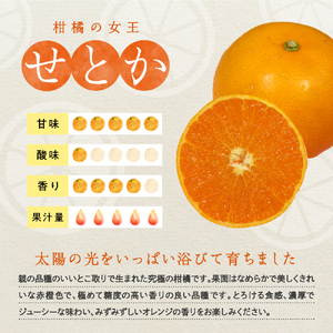 先行受付 2027年2月初旬～発送 広島県産 せとか 約10kg 柑橘