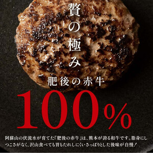  【6カ月定期】肥後の赤牛ハンバーグ（150g×10個） FKP9-543