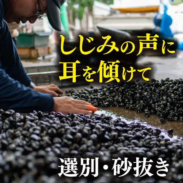 しじみ 宍道湖産 冷凍大和しじみ 砂抜き済 Mサイズ800g×3袋(2.4kg) 島根県松江市/しじみ市場株式会社[ALDK002] しじみ しじみ