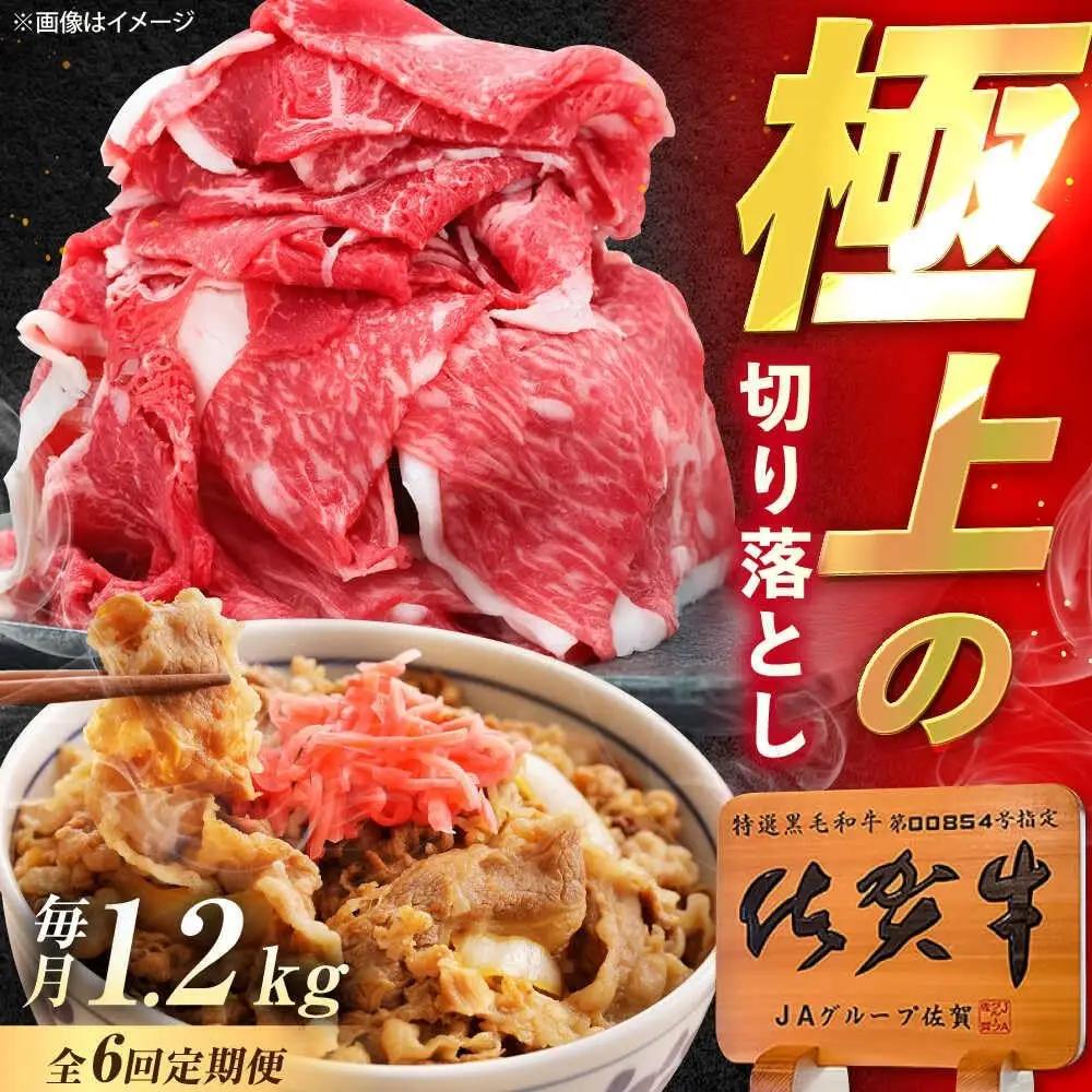 【6回定期便】 佐賀牛 牛肉 切り落とし 1.2kg 切落し [UEM036]