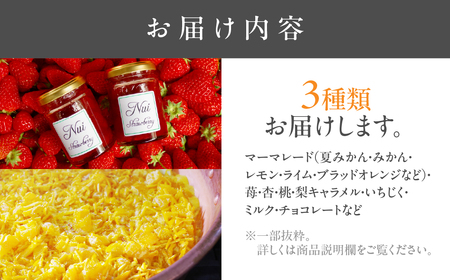 こだわりジャム 種類おまかせ 【 3本 】旬のフルーツを使用 オレンジ ブルーベリー りんご イチジクなど 朝食や紅茶に 保存料・香料・着色料不使用 愛知県 豊橋市  マーマレード jam