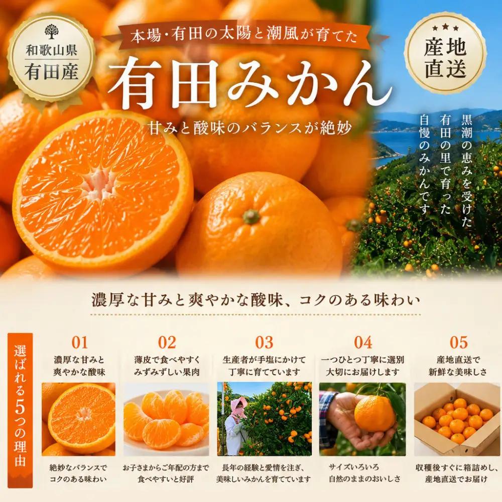 山城農園 和歌山県産 有田みかん 5kg 混サイズ 人気No.1 みかん