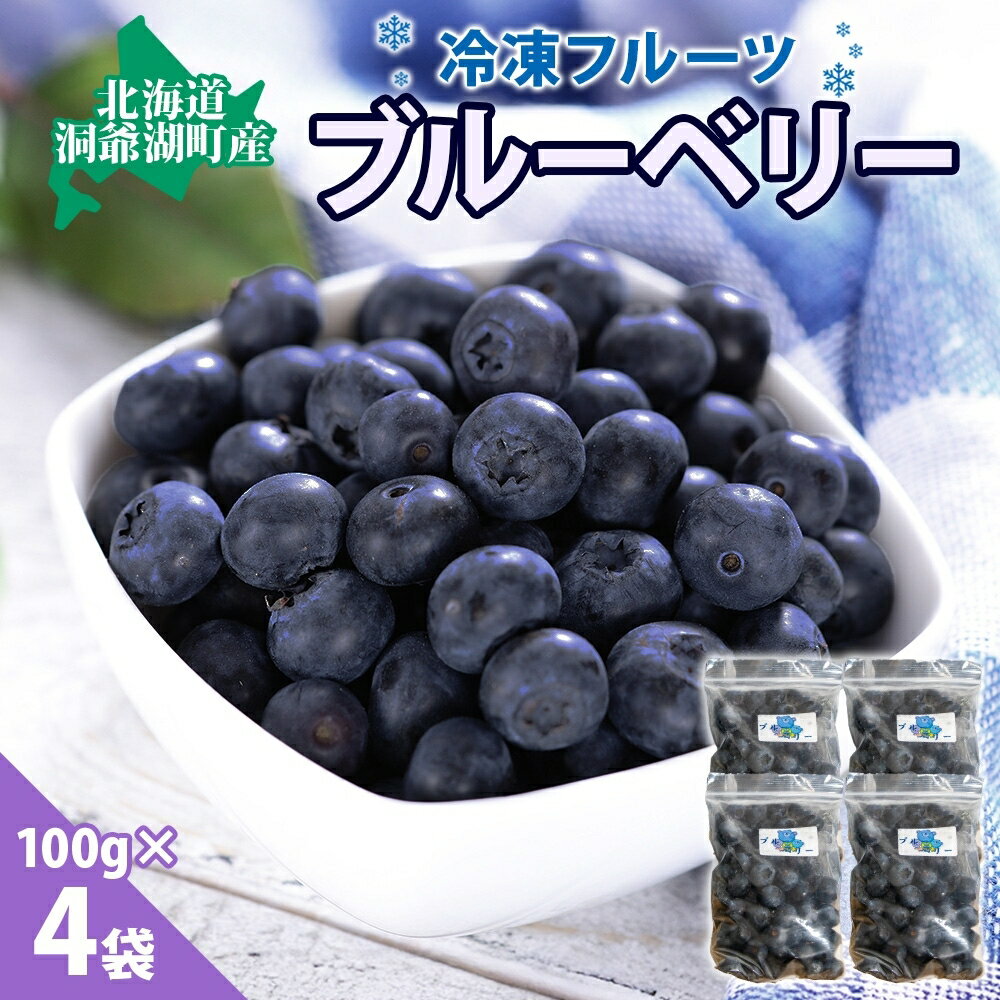 【ふるさと納税】北海道産 ブルーベリー 100g×4袋 9月以降順次出荷 果物 果実 くだもの 冷凍食品 おやつ デザート ジュース ヨーグルト ジャム スイーツ 簡単 便利 一人暮らし 小分け 製菓 送料無料 冷凍 北海道 洞爺湖町　お届け：2026年9月1日以降順次出荷