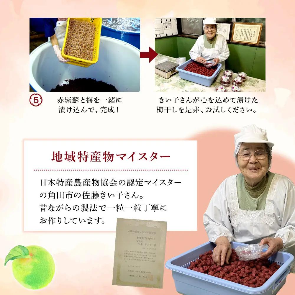 梅干し マイスター 佐藤きい子さんのご家庭用 手作り 梅干し 約1.2kg |  白加賀、越の梅、小梅3種  塩分 すっぱい 熱中症対策 お試し 