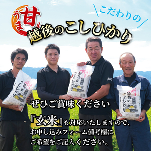  【令和6年産】 新米 コシヒカリ 10kg 5kg 2袋 甘うま越後の こしひかり 越後 えちご 特別栽培米 新潟 コメ こめ お米 米 しんまい 新潟県 新潟米 新発田市 新発田産 toushin