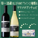 【ふるさと納税】笹一酒造OLIFANTワイン750ml 2種類&こすげ村源流工房ヤマメのアンチョビ1パックセット｜国産ワイン 赤ワイン 白ワイン 飲みくらべ セット おつまみ ヤマメ※離島への配送不可※着日指定不可