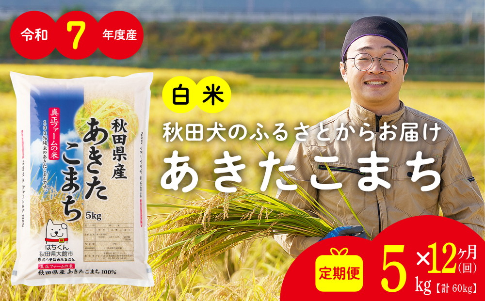 【定期便12ヶ月】令和7年産 秋田県産米「あきたこまち（白米）」 5kg（5kg×1袋）【真正ファーム】