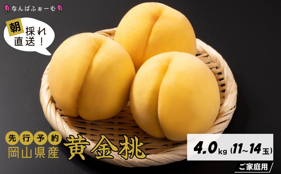【2025年先行予約】［なんばふぁーむ］岡山県産 黄金桃 4.0kg（11～14玉）［ご家庭用］