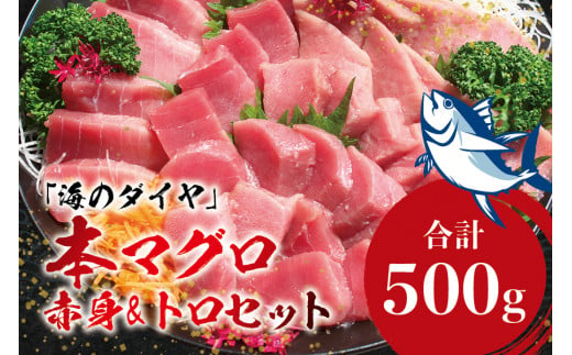 【期間限定 特別寄付額】本マグロ（養殖）トロ＆赤身セット 500g 【6月発送】高級 クロマグロ 中トロ 中とろ まぐろ マグロ 鮪 赤身 柵 じゃばらまぐろ 本マグロ 本鮪 【nks110B_cp-