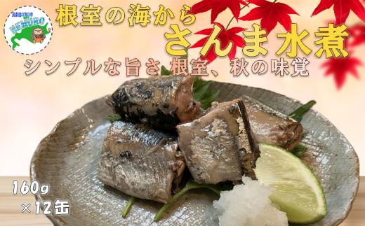 
                  A-78039 【北海道根室産】さんま水煮160g×12缶
                