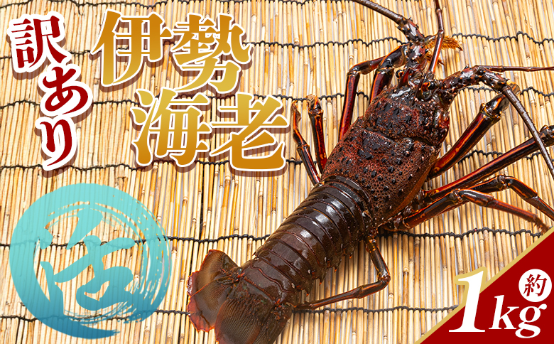 活 伊勢海老 計1kg(1～4匹) 冷蔵 eb-0003