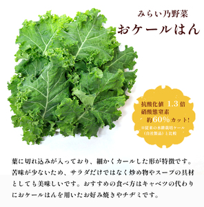 みらい乃野菜 はんなりレタス 10袋+2袋 12袋 720g レタス ケール おケールはん 袋入 水耕栽培 野菜 れたす 葉物 サラダ 高抗酸化値 低硝酸態窒素 小分け 小袋 そのまま 食べれる 健康
