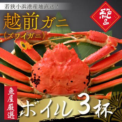 ふるさと納税 小浜市 【先行予約】(産地直送)　越前ガニ ボイル 3杯|若狭小浜港・国産ズワイガニ【加福鮮魚】