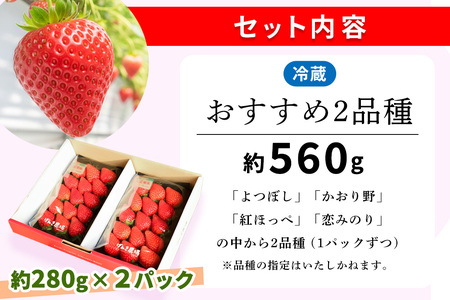 【ふるなび限定】【新農場オープン記念】【先行受付 2026年1月より発送】【農場直送！】いちご2品種食べ比べ(約280g×2P)【ふるさと納税 基山町産 いちご イチゴ 朝採れ 完熟果 FN-Limi