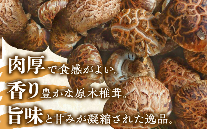 【先行予約】【11月上旬から順次発送】自然栽培！ひじかわの原木生椎茸 約1kg　愛媛県大洲市/中野はじめ商店 [AGBO001]しいたけ きのこ キノコ 茸 こんぶ 手作り お土産 保存食 ご飯のお供
