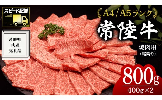 
【常陸牛】焼肉用 (霜降) 800g ( 茨城県共通返礼品 ) 国産 霜降り 焼肉 焼き肉 バーベキュー BBQ お肉 A4ランク A5ランク ブランド牛
