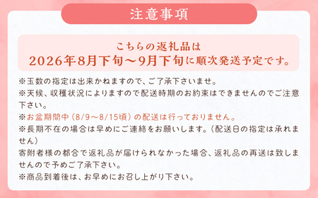  豊水梨 約3kg 5～8玉【2025年8月上旬～9月上旬発送予定】 ナシ 梨 果物 フルーツ 福岡県産