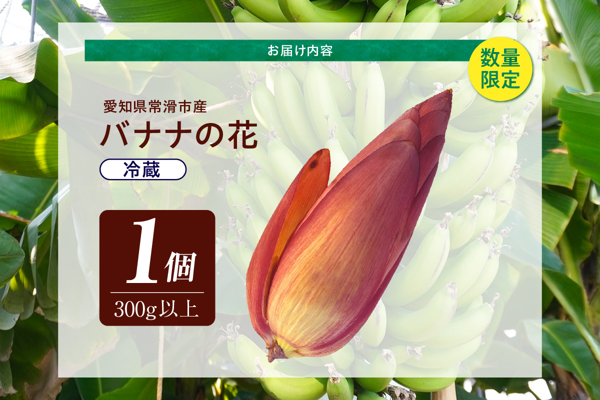 バナナの花　1個（300g以上） | バナナ ばなな 花 果物 フルーツ バナナハート 貴重 南国 産地直送 常滑市産 愛知県産 国内産 健康 就労支援 農業 アスナロファーム 農福 農福連携返礼品 