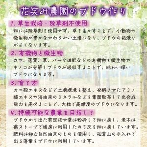 岡山　花笑み農園の『シャインマスカット＆瀬戸ジャイアンツ』1kg(2房)　GS-1【配送不可地域：離島・北海道・沖縄県】【1627775】