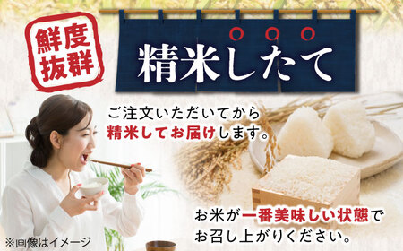 【先行予約/令和7年産新米】【特別栽培米】コシヒカリ 5kg 滋賀県長浜市/株式会社ＴＰＦ[AQCQ012]