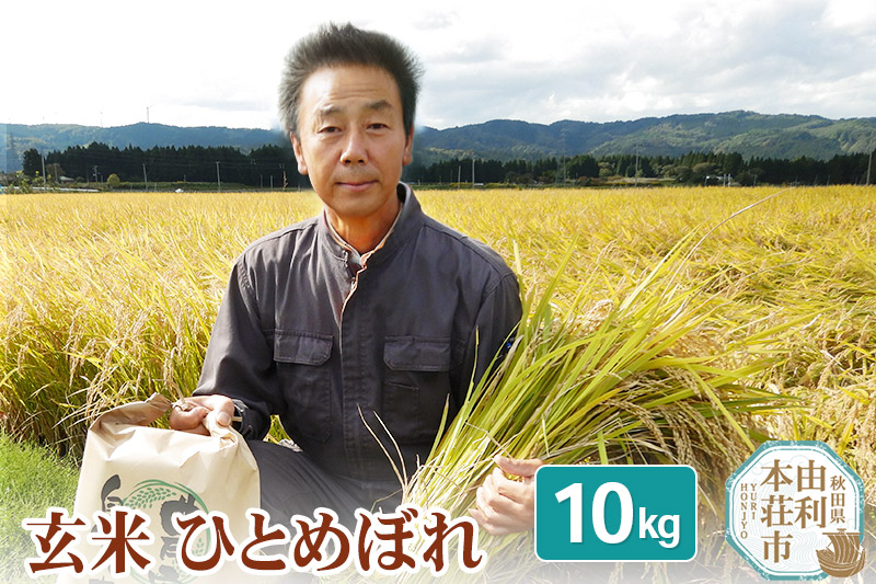 【玄米】 ＜通算5回 特A＞ ひとめぼれ 10kg 令和7年産 農家直送 渡部さんのひとめぼれ