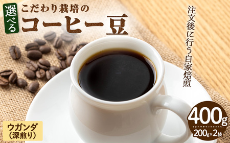 こだわり栽培のコーヒー豆(ウガンダ)(計400g・200g×2袋) 焙煎 コーヒー 豆 珈琲 珈琲豆 【m70-01】【N BLOOD COFFEE ROASTERS】