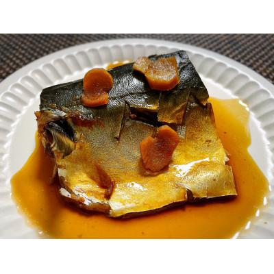 ふるさと納税 利府町 【毎月定期便】さば生姜煮 業務用パック70g 8切れ全7回