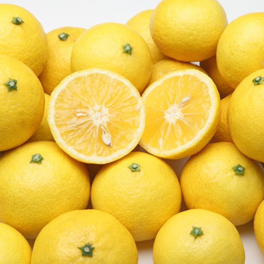 ハウス湘南ゴールド