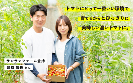 ミニトマト 食べ比べセット 1kg ミニトマト ミニトマト ミニトマト ミニトマト ミニトマト