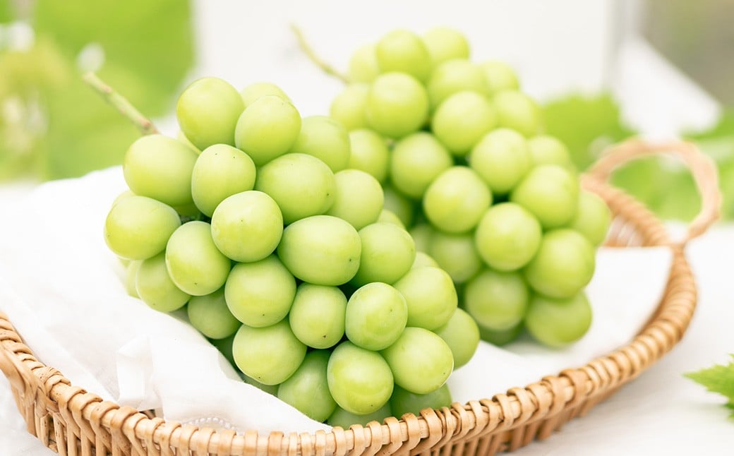 
            プレミアム 大粒 シャインマスカット 1房 （700g以上） 【2026年8月下旬から10月上旬頃発送予定】 ／ くだもの 果物 果実 フルーツ ぶどう ブドウ 葡萄 マスカット 冷蔵 岡山県 美咲町
          