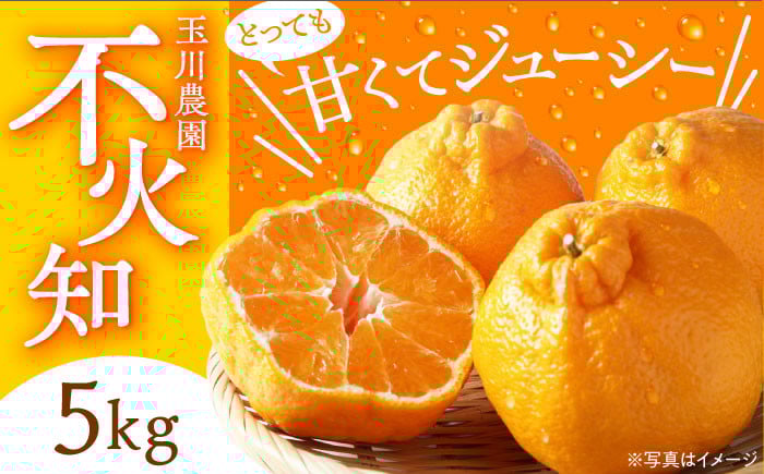 
            【先行予約】【2026年3月上旬から順次発送】不知火 5kg 愛媛県大洲市/玉川農園 [AGBC003] くだもの 果物 フルーツ 柑橘 不知火 しらぬい デコポン でこぽん みかん 愛媛県産 大洲市産 産地直送 おすすめ 人気 お取り寄せ 送料無料
          