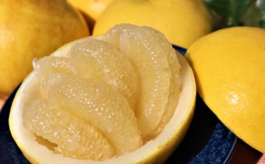 【ふるさと納税】 森下正一の土佐文旦 10kg 大玉 家庭用 特産品 果物 柑橘類 グレープフルーツ ザボン 贈答用 ギフト 贈り物 お歳暮 お中元 正月 年末年始 果汁 ジュース 産地直送 高知県 四国 旬 フルーツ 美味しい 甘い 健康 ビタミンC 栄養 宿毛市 高知県 16000円