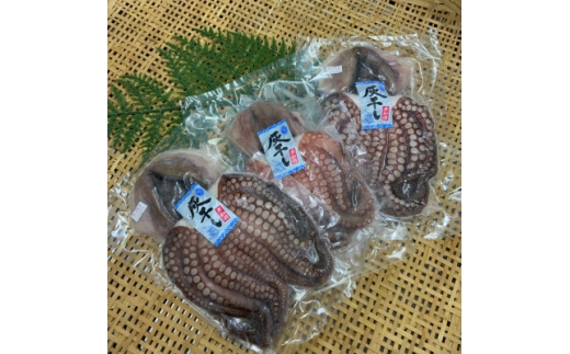 灰干しマダコ【1686954】