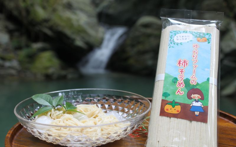 【ふるさと納税】紀北 かつらぎ特産 たねなし柿そうめん【入金確認後、1週間以内を目途に発送】 | そうめん 食品 人気 おすすめ 送料無料