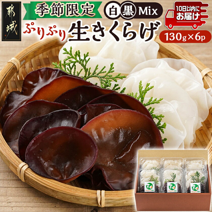 【ふるさと納税】≪季節限定！≫ぷりぷり食感の生きくらげ(白＆黒Mix)130g×6パック≪みやこんじょ特急便≫ - 国産 肉厚きくらげ 生きくらげ 黒いきくらげ 白いきくらげ 希少品種 キクラゲ 冷蔵配送 送料無料 11-C901-Q 【宮崎県都城市は2年連続ふるさと納税日本一！】