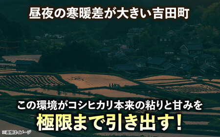 【新米】吉田げんき米コシヒカリ 5kg 島根県雲南市/有限会社藤本米穀店 ｜こしひかり 白米 精米 コメ 5キロ[AIDB117]
