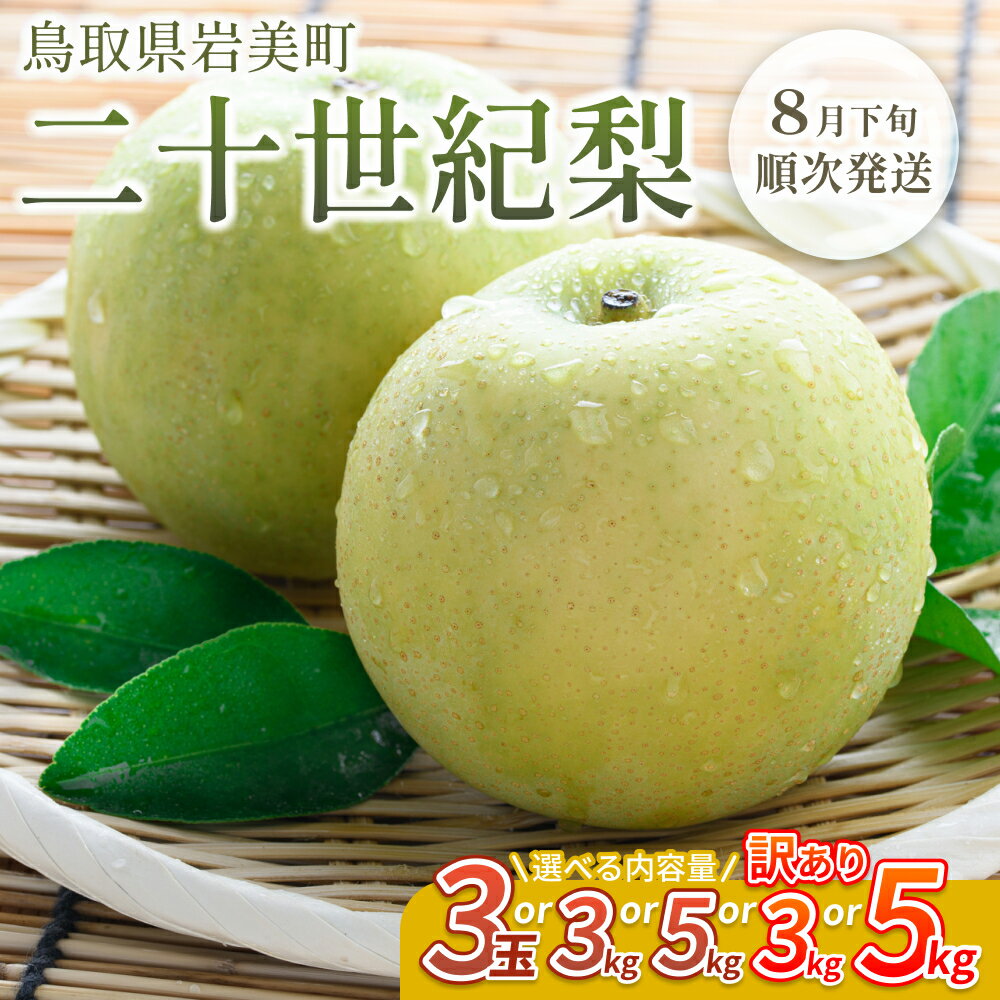 【ふるさと納税】【先行予約】中野農園 梨 ”二十世紀梨” 3玉、3～5kg、訳あり｜鳥取県 梨 二十世紀梨 20世紀梨 果物 くだもの フルーツ 2026収穫 選べる 内容量 3kg 5kg 訳アリ 数量限定 旬の梨 岩美町 特産品※お届けは2026年8月下旬以降