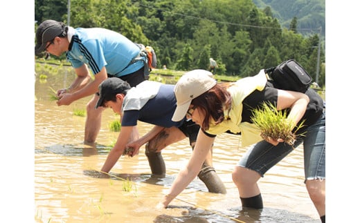 
            【農業体験】1年間の田植え～稲刈りで親子の思い出づくり
          